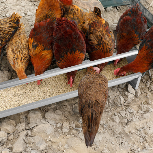 Metal Chicken Feeder Chicken Feeding Trough with Drainage Holes-Silver