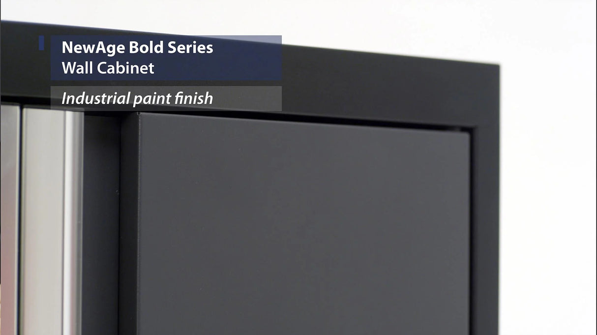 Bold Series 24 In. Wall Cabinet