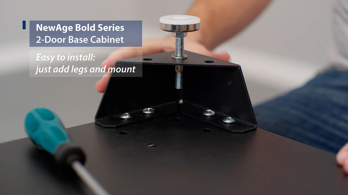 Bold Series 2-Door Base Cabinet