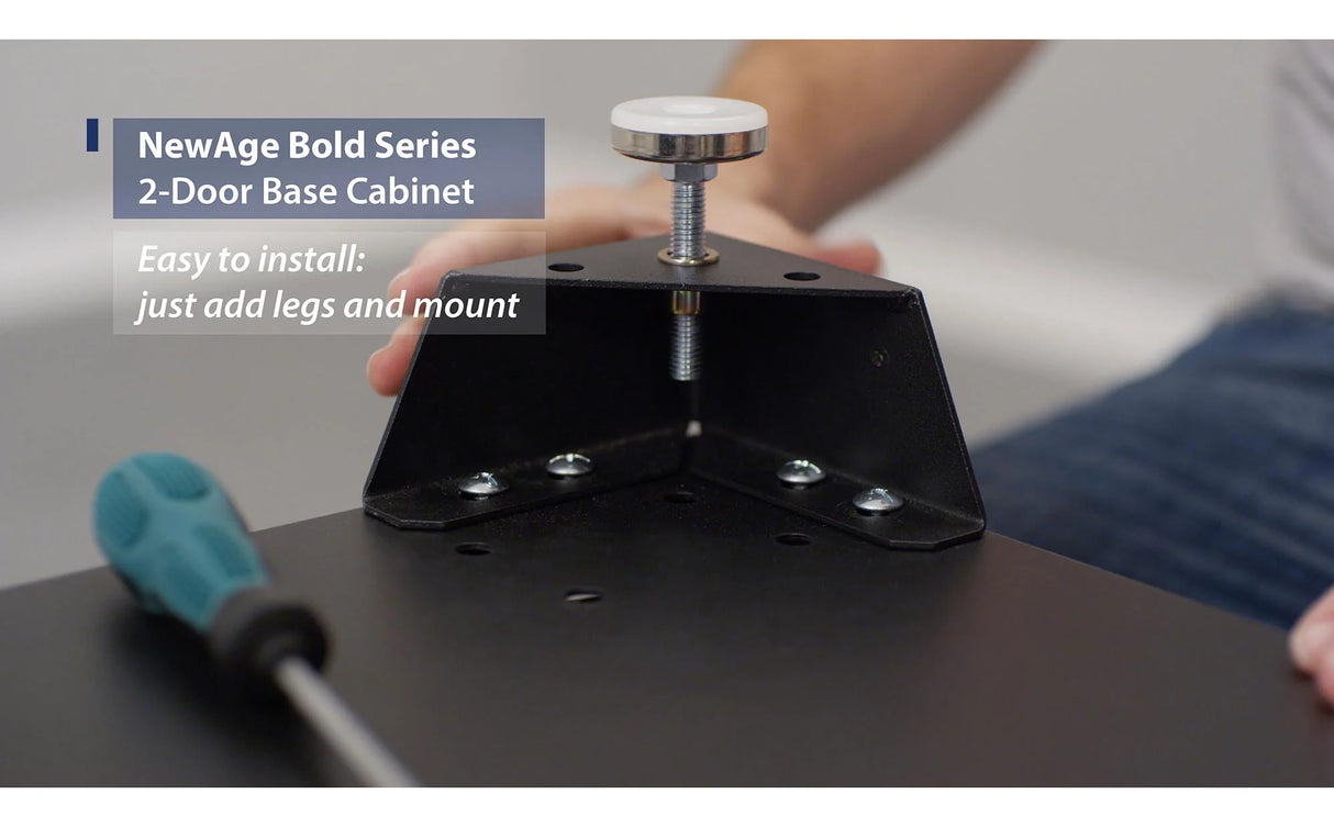 Bold Series 2-Door Base Cabinet