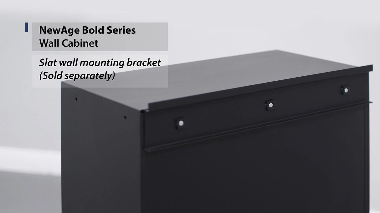 Bold Series 24 In. Wall Cabinet