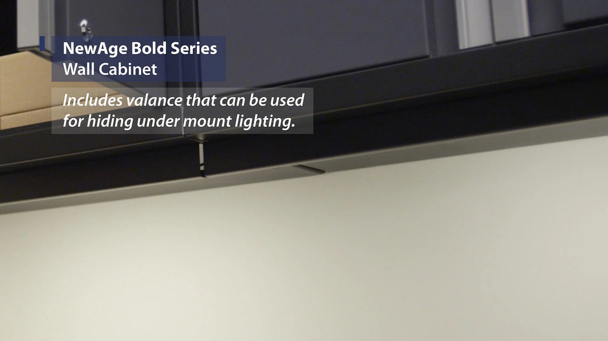 Bold Series 24 In. Wall Cabinet