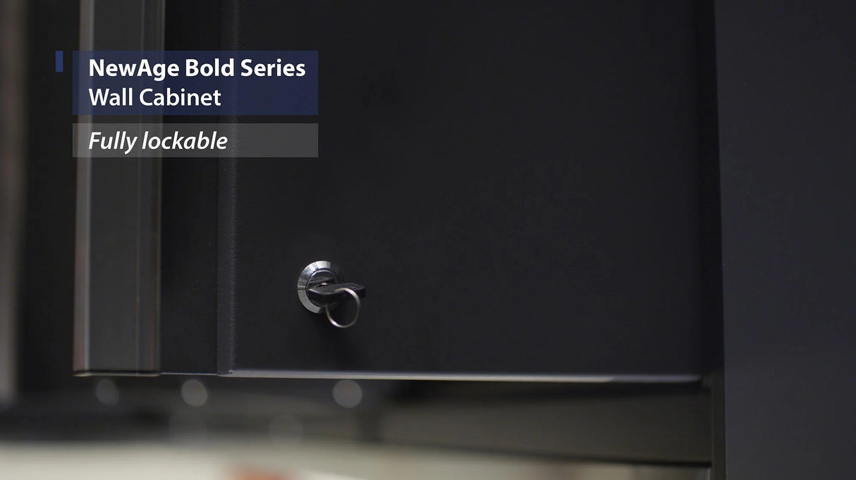 Bold Series 24 In. Wall Cabinet