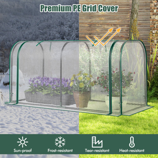 Mini Tunnel Greenhouse with Roll-up Zipper Door-White