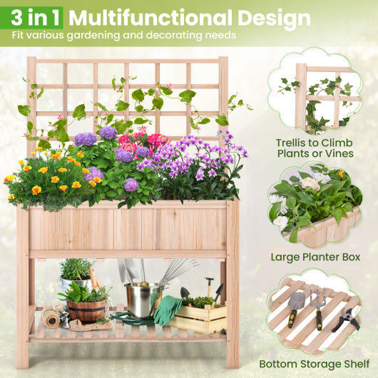 Raised Garden Bed Elevated Wooden Planter Box with Trellis