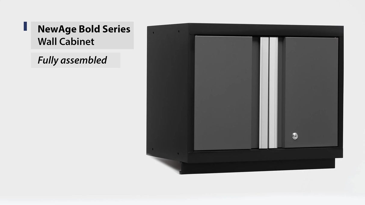 Bold Series 24 In. Wall Cabinet