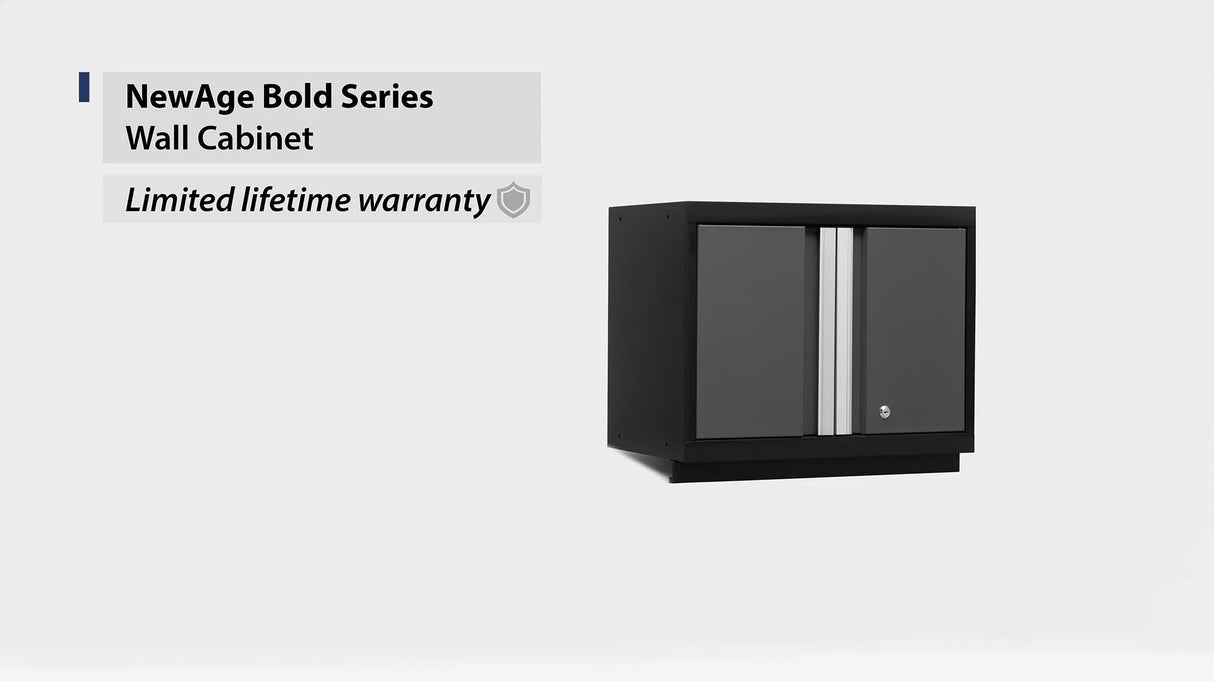 Bold Series 24 In. Wall Cabinet