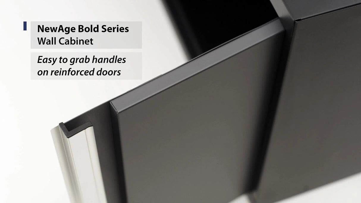 Bold Series 24 In. Wall Cabinet