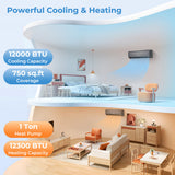 Energy Star Certified 12000 BTU 21 SEER2 208-230V Mini Split Air Conditioner and Heater Gray