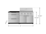 Outdoor Kitchen Stainless-Steel 4 Piece Cabinet Set with 3 Drawer, Grill Cabinet, Performance Grill, and Countertop