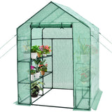 Walk-in Greenhouse 56 x 56 x 77 Inch Gardening with Observation Windows