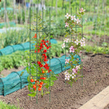 2-Pack Garden Trellis Tomato Cage with Adjustable Height-Green