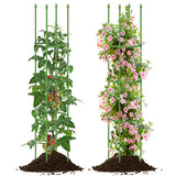2-Pack Garden Trellis Tomato Cage with Adjustable Height-Green
