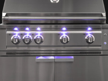 Outdoor Kitchen Stainless Steel Platinum Grill