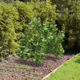 2 Pieces Foldable A-Frame Trellis Plant Supports with Twist Ties-Green