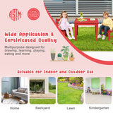 2 Pieces Kids Learning Chair set with Backrest-Red