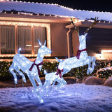 3-Piece Christmas Pre-Lit Lighted Reindeer Family Set