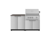 Outdoor Kitchen Stainless Steel 4 Piece Cabinet Set with 2 Door, Grill Cabinet, Platinum Grill and Countertop