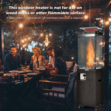 41 000 BTU Propane Patio Heater with Metal Hood-Black