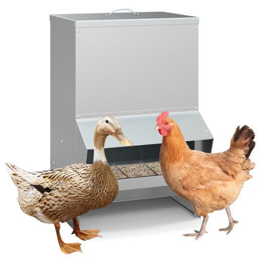 Wall Mount Galvanized Chicken Feeder 50 Pounds Capacity-Silver