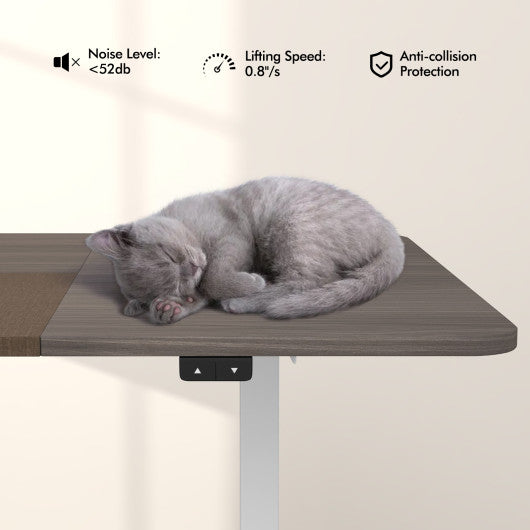 55 Inch Electric Standing Desk Adjustable with Cable Management Hole-Gray