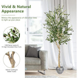 6 Feet Artificial Olive Tree in Cement Pot-2 Pieces