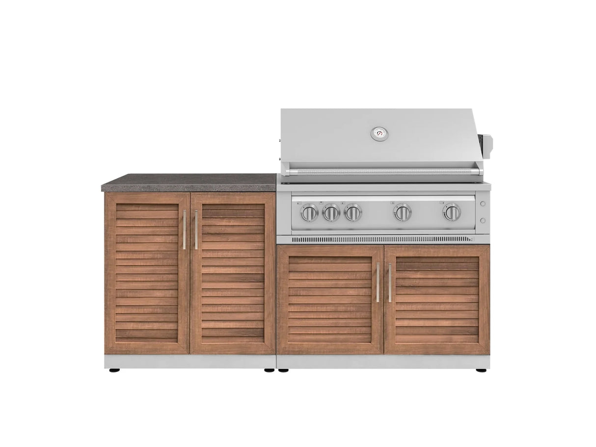 Outdoor Kitchen Stainless Steel 4 Piece Cabinet Set with 2 Door, Grill Cabinet, Platinum Grill and Countertop