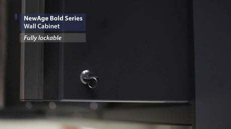 Bold Series 24 In. Wall Cabinet