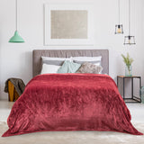 62 x 84 Inch Twin Size Electric Heated Throw Blanket with Timer-Red