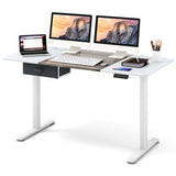 Height Adjustable Electric Standing Desk with USB Charging Port-Gray