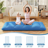 Foldable Futon Mattress with Washable Cover and Carry Bag for Camping Blue-Twin Size