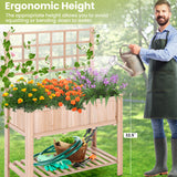 Raised Garden Bed Elevated Wooden Planter Box with Trellis
