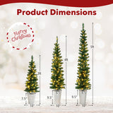 Set of 3 Pre-Lit Artificial Christmas Trees with 230 Warm White LED Lights