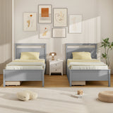 Twin Size Wooden Bed Frame with 2 Drawers for Teens and Adults-Gray