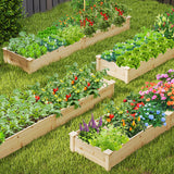 Wooden Raised Garden Bed with 2 Planter Boxes and Dividers-Natural