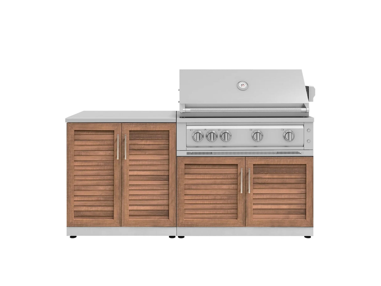 Outdoor Kitchen Stainless Steel 4 Piece Cabinet Set with 2 Door, Grill Cabinet, Platinum Grill and Countertop