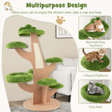 50 Inch Pine Shape Cat Tree for Indoor Cats with Sisal Scratching Board-Green