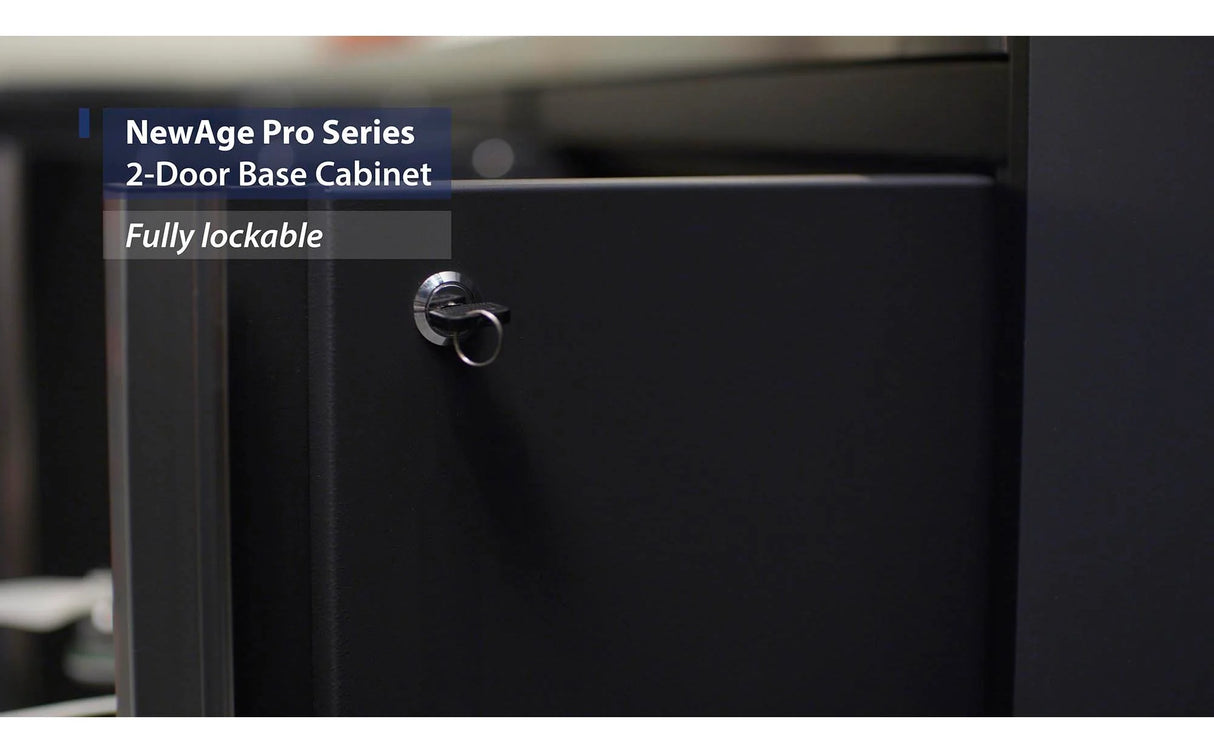 Pro Series 2-Door Base Cabinet