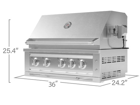 Outdoor Kitchen Stainless Steel Platinum Grill