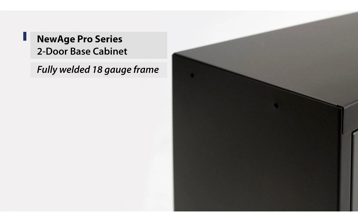 Pro Series 2-Door Base Cabinet