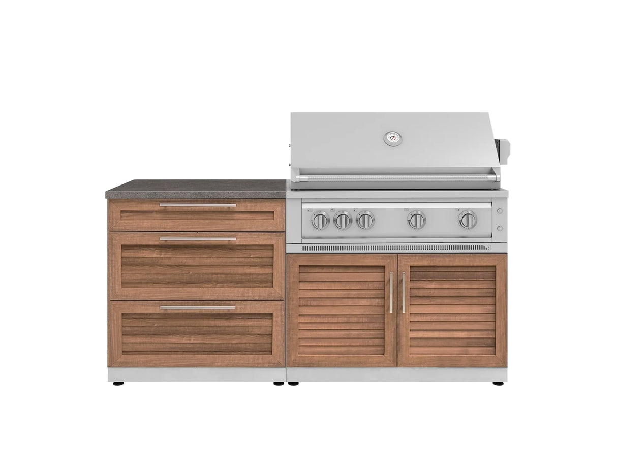 Outdoor Kitchen Stainless-Steel 4 Piece Cabinet Set with 3 Drawer, Grill Cabinet, Platinum Grill, and Countertop