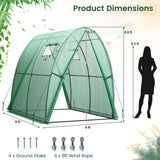 6 x 6 x 6.6 FT Outdoor Wall-in Tunnel Greenhouse-Green