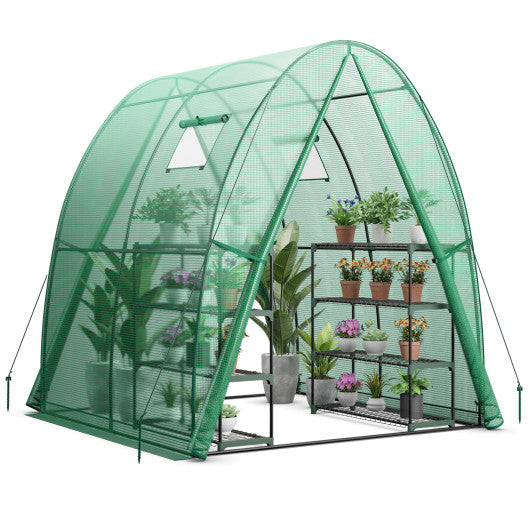 6 x 6 x 6.6 FT Outdoor Wall-in Tunnel Greenhouse-Green