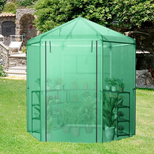 Walk-In Hexagonal Greenhouse with PE Cover and Metal Frame