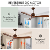 52 Inch Modern Ceiling Fan Indoor Outdoor Brushed Nickel Finish with Remote