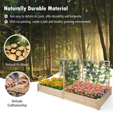 Raised Garden Bed with 2 Planter Boxes and 3 Trellis-Natural