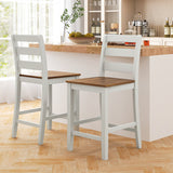 Set of 2 Counter Bar Stool with Inclined Backrest and Footrest-Gray